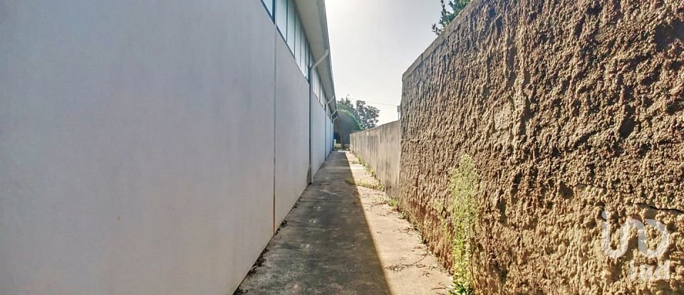 Commercial walls in Oliveira De Azeméis, Santiago De Riba-Ul, Ul, Macinhata Da Seixa E Madail of 600 m²