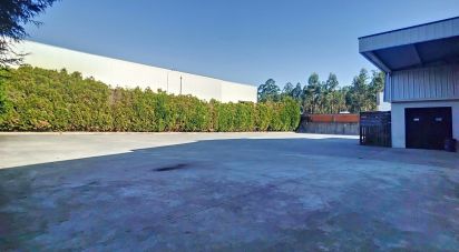 Murs commerciaux à Oliveira De Azeméis, Santiago De Riba-Ul, Ul, Macinhata Da Seixa E Madail de 600 m²