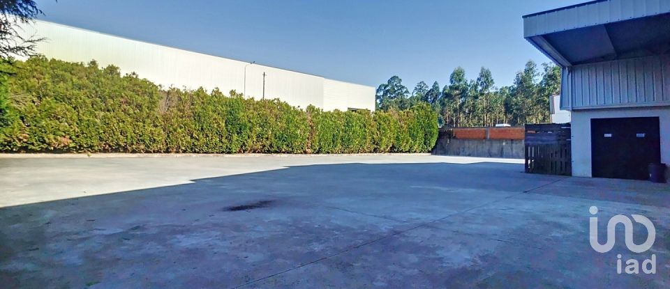 Espaço Comercial em Oliveira De Azeméis, Santiago De Riba-Ul, Ul, Macinhata Da Seixa E Madail de 600 m²
