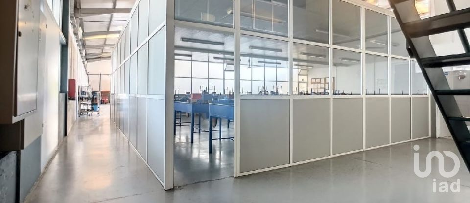 Espaço Comercial em Oliveira De Azeméis, Santiago De Riba-Ul, Ul, Macinhata Da Seixa E Madail de 600 m²