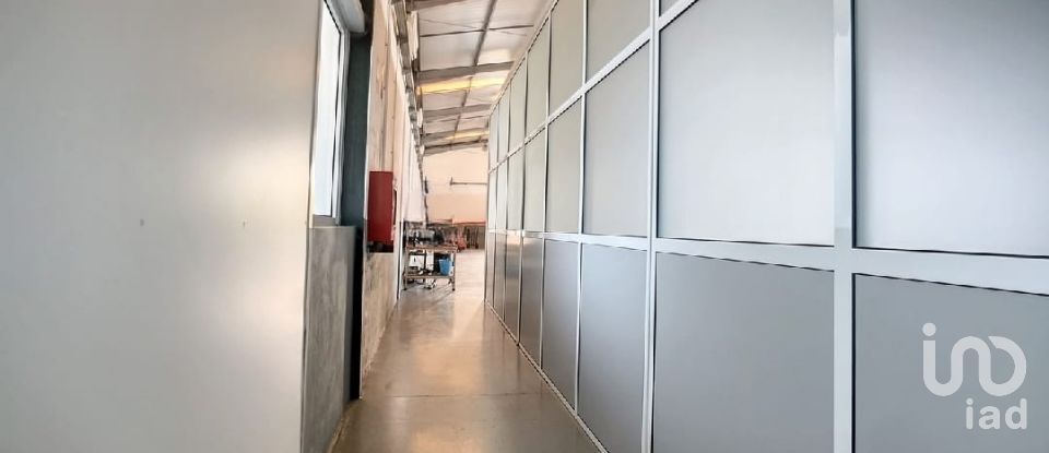 Espaço Comercial em Oliveira De Azeméis, Santiago De Riba-Ul, Ul, Macinhata Da Seixa E Madail de 600 m²