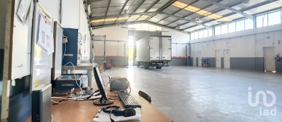 Espaço Comercial em Oliveira De Azeméis, Santiago De Riba-Ul, Ul, Macinhata Da Seixa E Madail de 600 m²