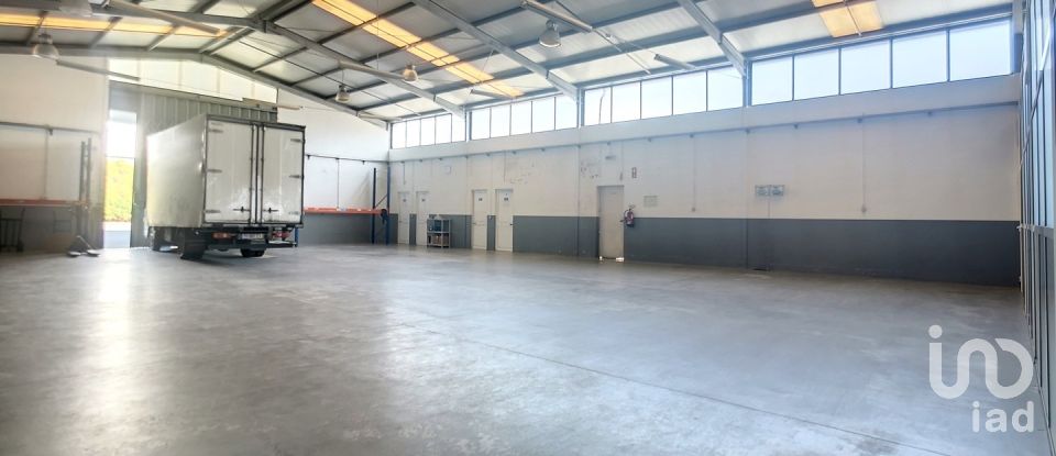 Espaço Comercial em Oliveira De Azeméis, Santiago De Riba-Ul, Ul, Macinhata Da Seixa E Madail de 600 m²