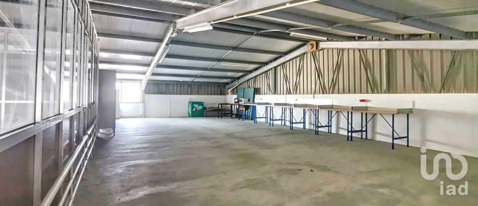 Espaço Comercial em Oliveira De Azeméis, Santiago De Riba-Ul, Ul, Macinhata Da Seixa E Madail de 600 m²