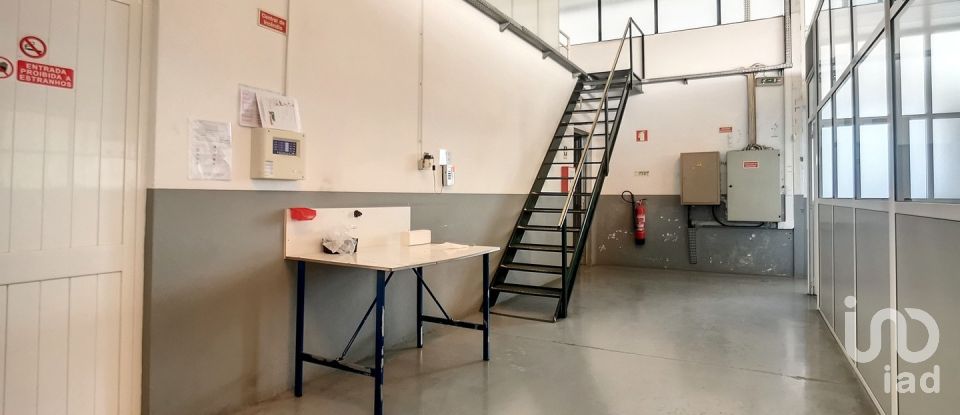 Espaço Comercial em Oliveira De Azeméis, Santiago De Riba-Ul, Ul, Macinhata Da Seixa E Madail de 600 m²