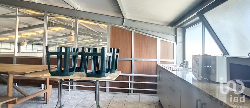 Espaço Comercial em Oliveira De Azeméis, Santiago De Riba-Ul, Ul, Macinhata Da Seixa E Madail de 600 m²