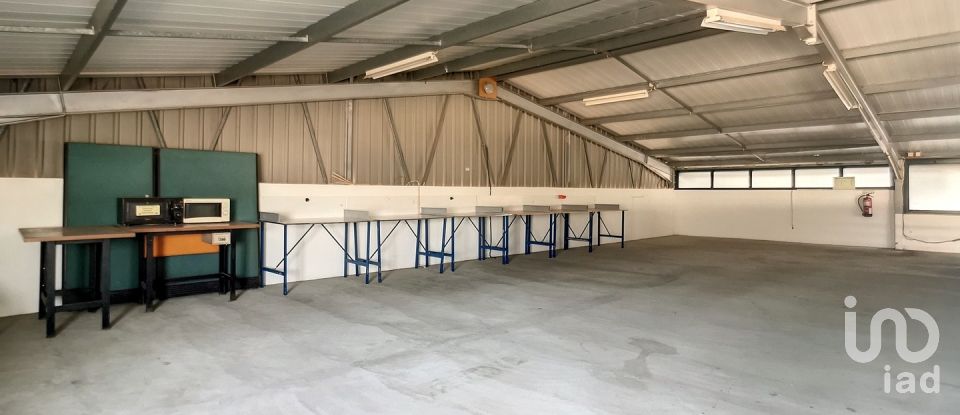 Espaço Comercial em Oliveira De Azeméis, Santiago De Riba-Ul, Ul, Macinhata Da Seixa E Madail de 600 m²