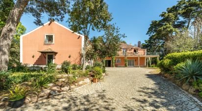 Ferme T10 à Sintra (Santa Maria e São Miguel, São Martinho e São Pedro de Penaferrim) de 1 287 m²