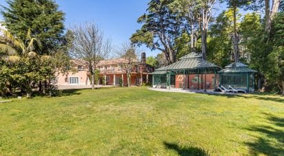 Ferme T10 à Sintra (Santa Maria e São Miguel, São Martinho e São Pedro de Penaferrim) de 1 287 m²