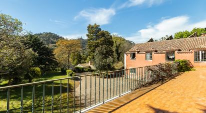 Ferme T10 à Sintra (Santa Maria e São Miguel, São Martinho e São Pedro de Penaferrim) de 1 287 m²