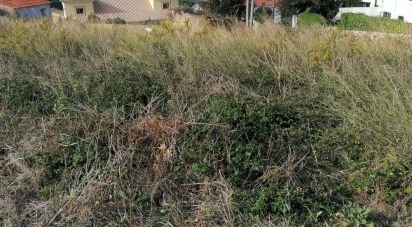 Terrain à Mafra de 1 375 m²