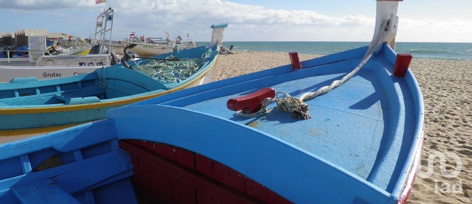Terreno urbano em Alcantarilha e Pêra de 3 640 m²