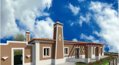 Terrain à Rio Maior de 6 200 m²