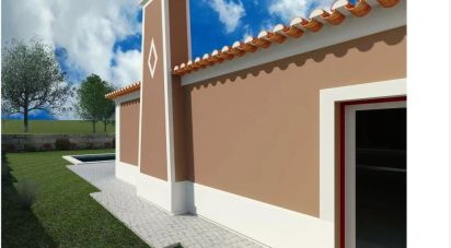 Terrain à Rio Maior de 6 200 m²