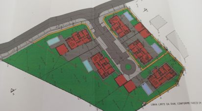 Terrain à Rio Maior de 6 200 m²