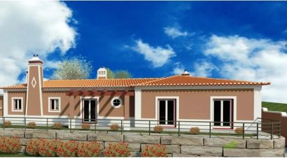 Terrain à Rio Maior de 6 200 m²