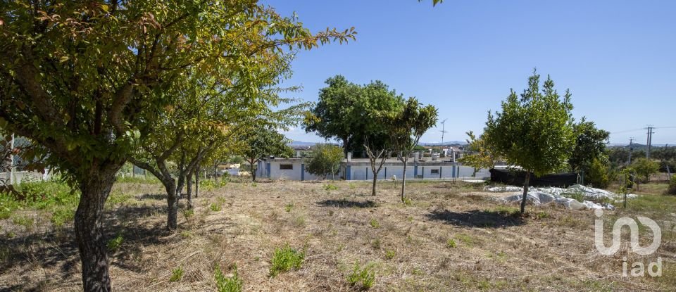Building land in Caparica e Trafaria of 5,041 m²