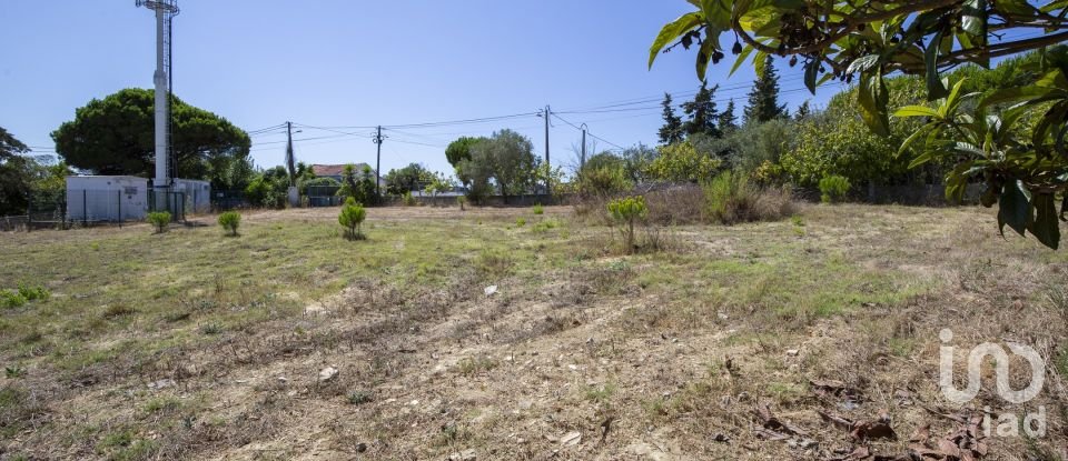 Terrain à bâtir à Caparica e Trafaria de 5 041 m²