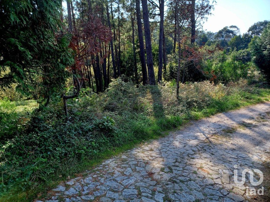 Terreno urbano em Freixieiro de Soutelo de 1 520 m²