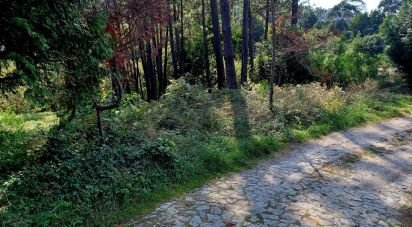 Terrain à bâtir à Freixieiro de Soutelo de 1 520 m²
