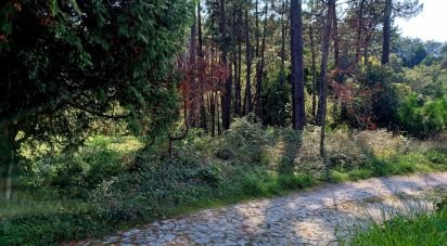 Terrain à bâtir à Freixieiro de Soutelo de 1 520 m²