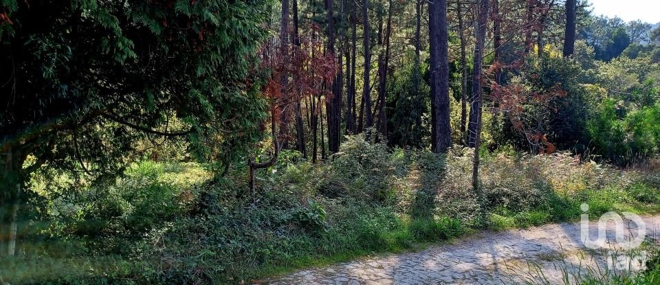 Terreno urbano em Freixieiro de Soutelo de 1 520 m²