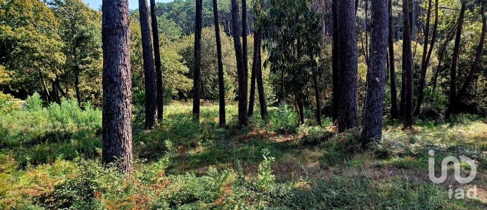 Terreno urbano em Freixieiro de Soutelo de 1 520 m²