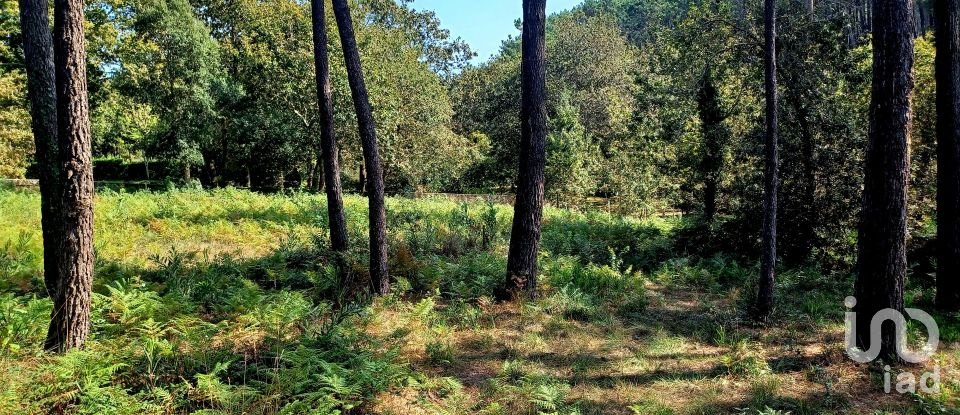 Terreno urbano em Freixieiro de Soutelo de 1 520 m²