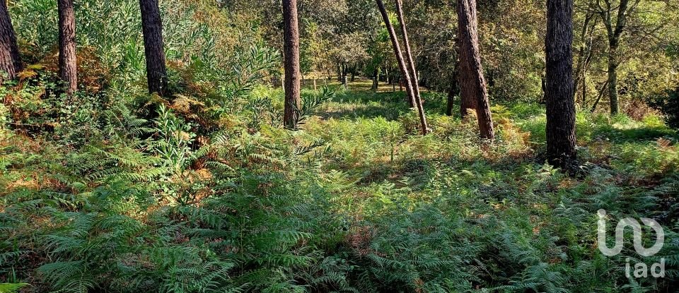 Terreno urbano em Freixieiro de Soutelo de 1 520 m²