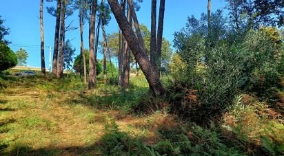Terrain à bâtir à Freixieiro de Soutelo de 1 520 m²