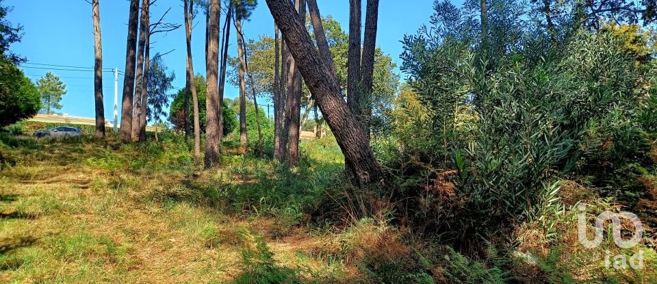 Terreno urbano em Freixieiro de Soutelo de 1 520 m²
