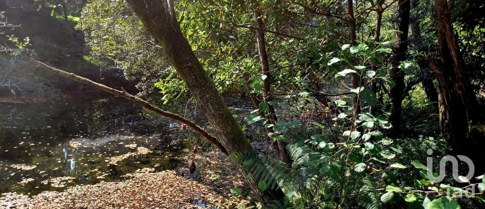 Terreno urbano em Freixieiro de Soutelo de 1 520 m²