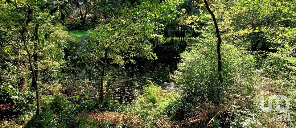 Terreno urbano em Freixieiro de Soutelo de 1 520 m²