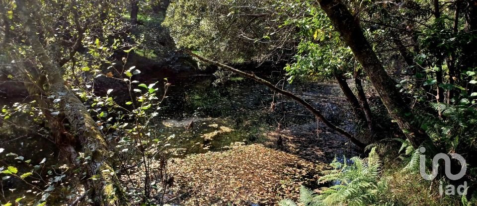 Terreno urbano em Freixieiro de Soutelo de 1 520 m²