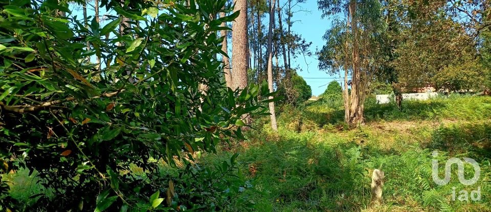 Terreno urbano em Freixieiro de Soutelo de 1 520 m²