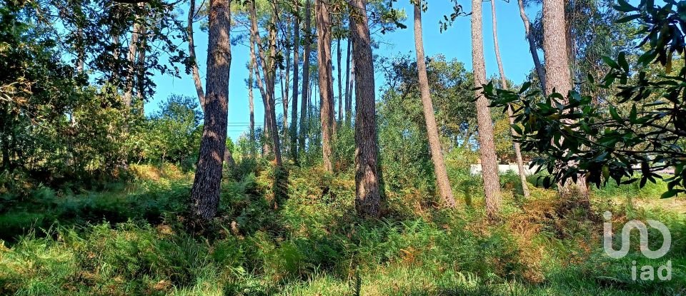 Terreno urbano em Freixieiro de Soutelo de 1 520 m²