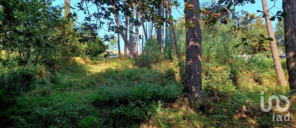 Terreno urbano em Freixieiro de Soutelo de 1 520 m²