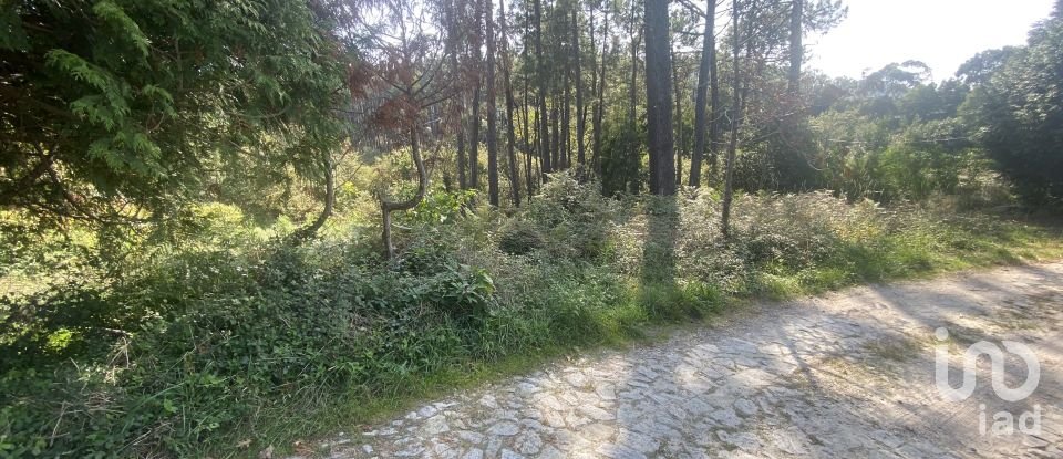 Terreno urbano em Freixieiro de Soutelo de 1 520 m²