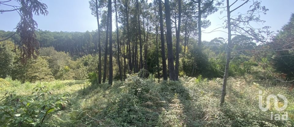 Terreno urbano em Freixieiro de Soutelo de 1 520 m²