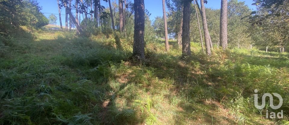Terreno urbano em Freixieiro de Soutelo de 1 520 m²