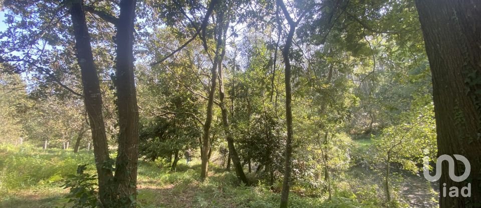 Terreno urbano em Freixieiro de Soutelo de 1 520 m²