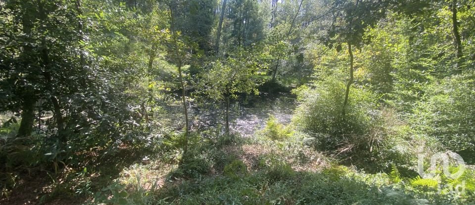 Terreno urbano em Freixieiro de Soutelo de 1 520 m²