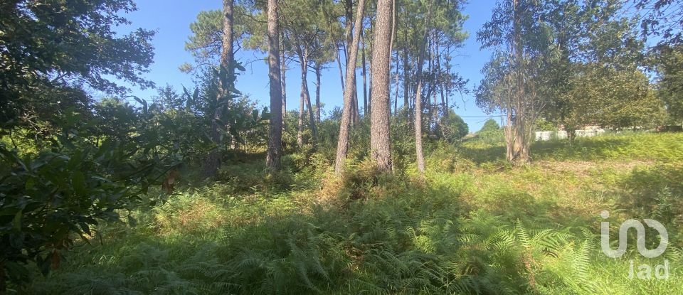Terreno urbano em Freixieiro de Soutelo de 1 520 m²