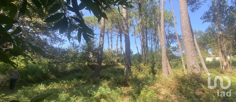 Terreno urbano em Freixieiro de Soutelo de 1 520 m²