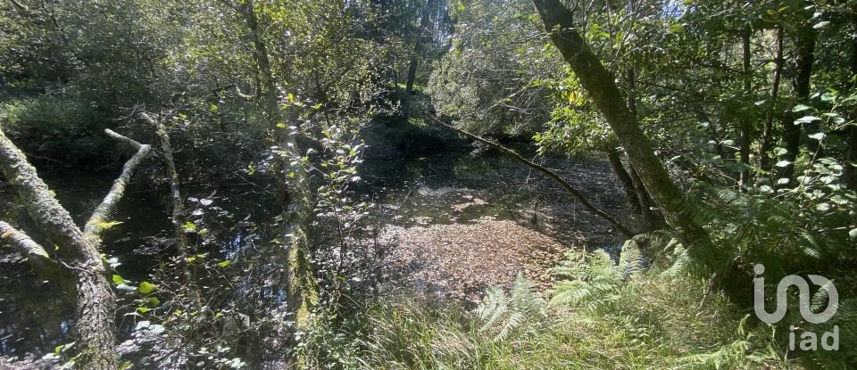 Terreno urbano em Freixieiro de Soutelo de 1 520 m²