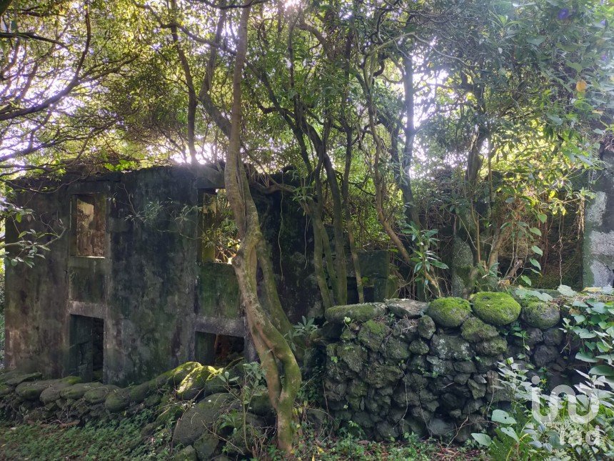 Casa T3 em Lajes do Pico de 212 m²