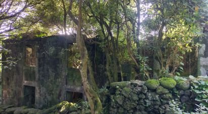 Gîte T3 à Lajes do Pico de 212 m²