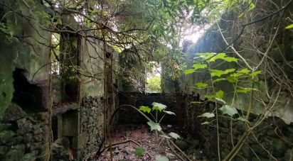 Gîte T3 à Lajes do Pico de 212 m²