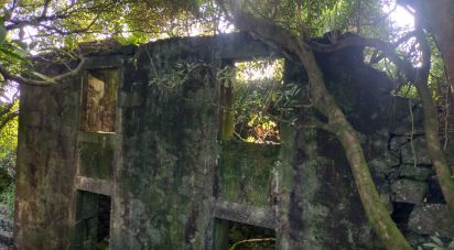 Gîte T3 à Lajes do Pico de 212 m²