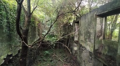 Gîte T3 à Lajes do Pico de 212 m²